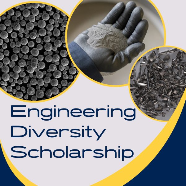 Engineering Diversity Scholarship